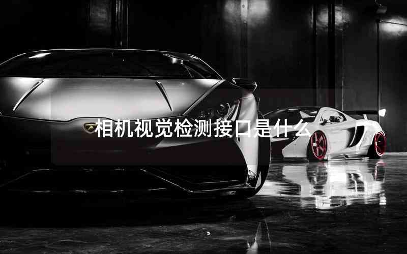 相機視覺檢測接口是什么 相機視覺檢測接口是什么