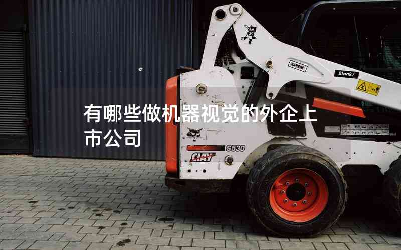 有哪些做機(jī)器視覺的外企上市公司 有哪些做機(jī)器視覺的外企上市公司