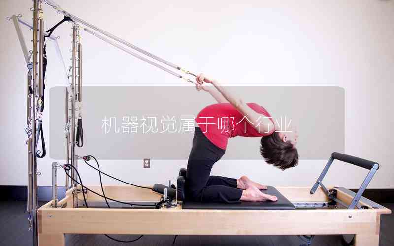 機器視覺屬于哪個行業(yè) 機器視覺屬于哪個行業(yè)