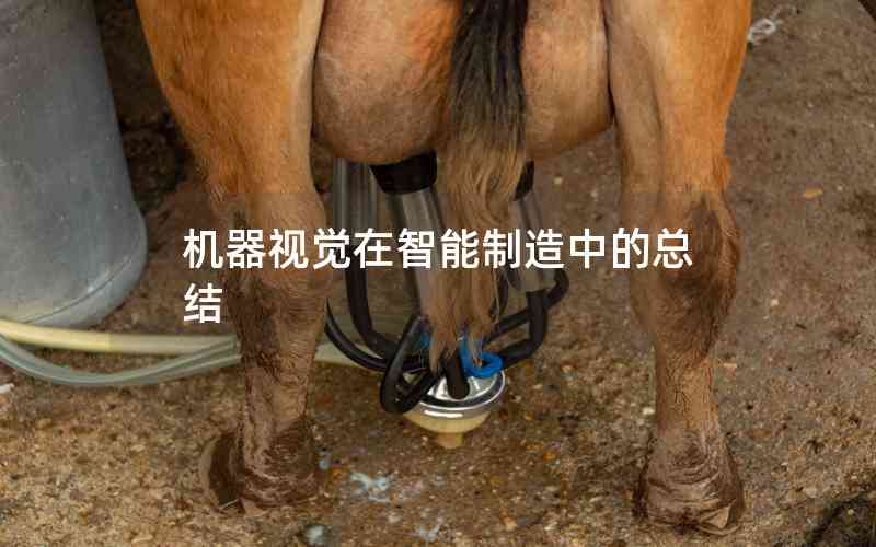 機(jī)器視覺(jué)在智能制造中的總結(jié) 機(jī)器視覺(jué)在智能制造中的總結(jié)