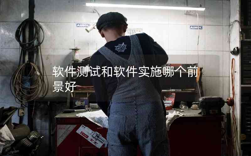 軟件測試和軟件實(shí)施哪個前景好 軟件測試和軟件實(shí)施哪個前景好