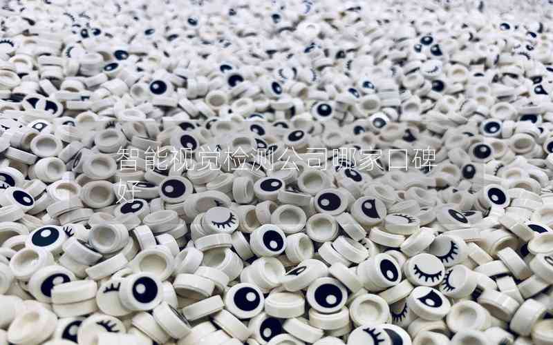 智能視覺檢測公司哪家口碑好