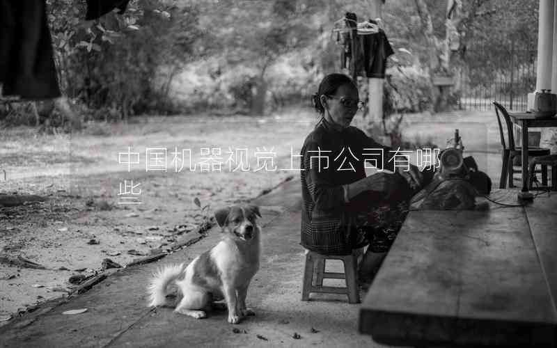 中國機(jī)器視覺上市公司有哪些 中國機(jī)器視覺上市公司有哪些