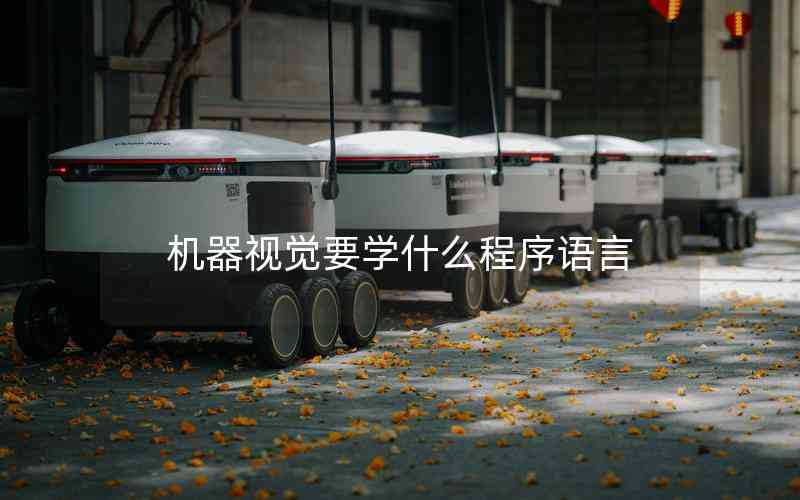 機(jī)器視覺要學(xué)什么程序語(yǔ)言 機(jī)器視覺要學(xué)什么程序語(yǔ)言
