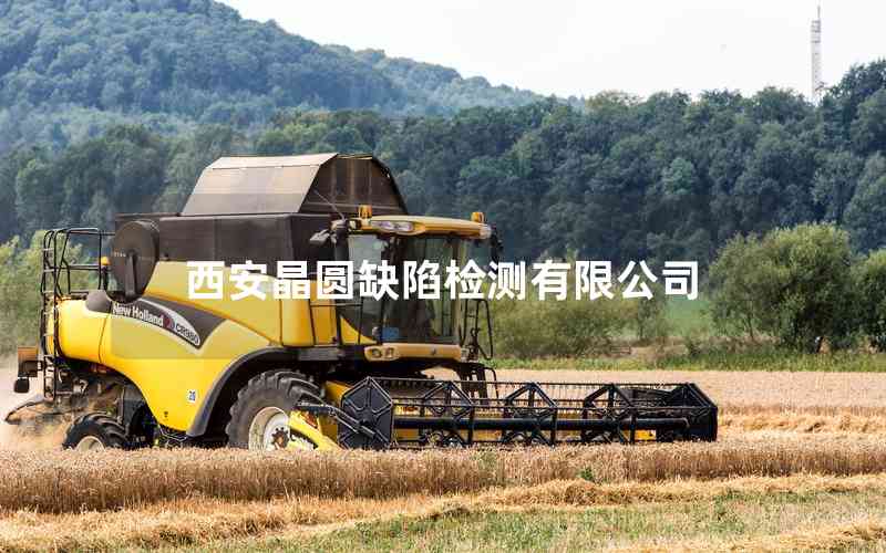 西安晶圓缺陷檢測有限公司 西安晶圓缺陷檢測有限公司