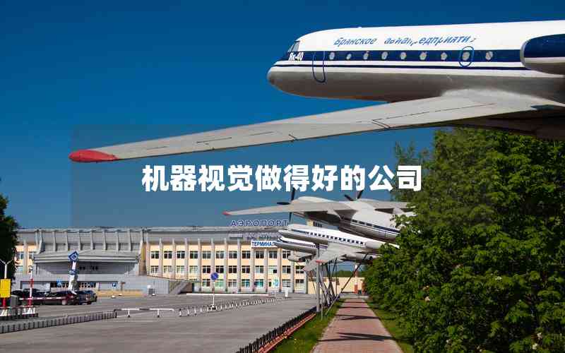 機(jī)器視覺(jué)做得好的公司 機(jī)器視覺(jué)做得好的公司