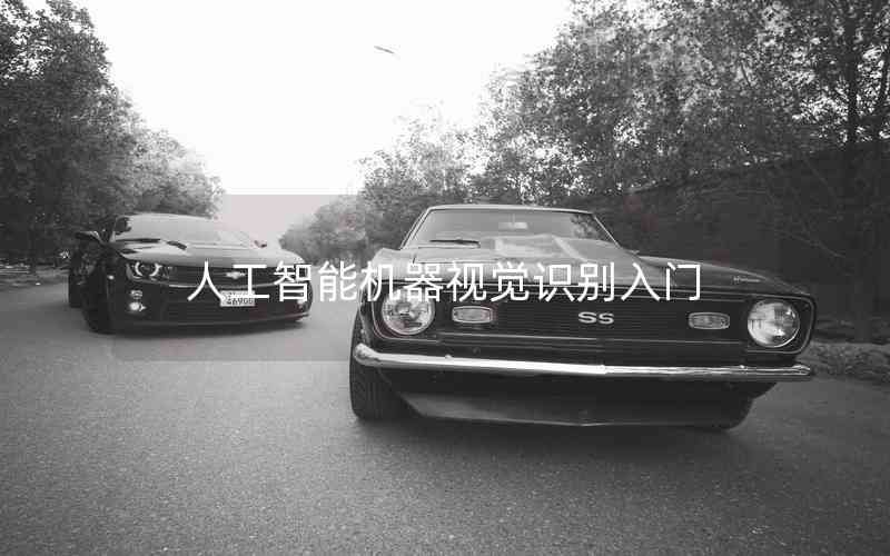 人工智能機(jī)器視覺(jué)識(shí)別入門 人工智能機(jī)器視覺(jué)識(shí)別入門