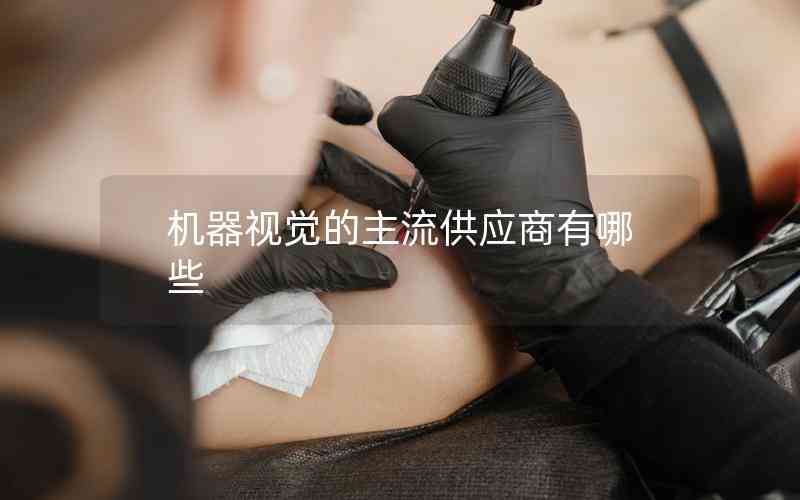 機器視覺的主流供應商有哪些 機器視覺的主流供應商有哪些