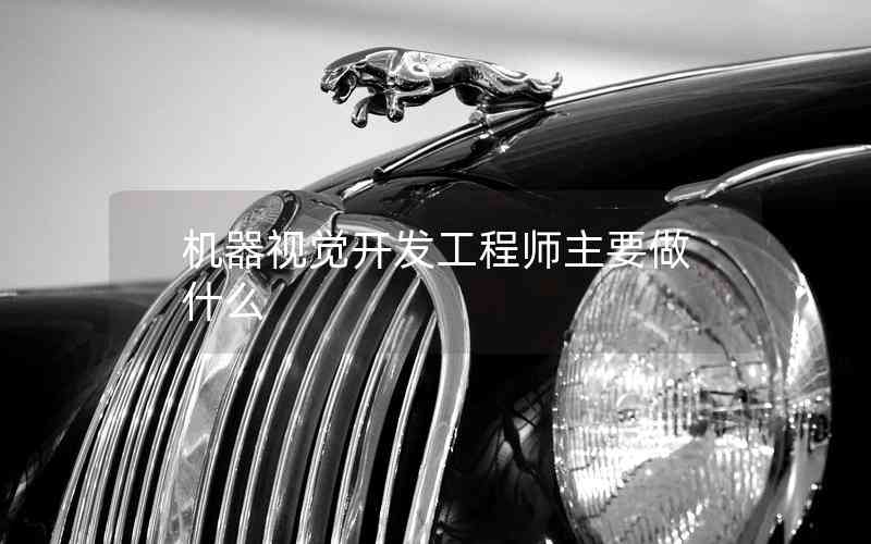 機(jī)器視覺開發(fā)工程師主要做什么 機(jī)器視覺開發(fā)工程師主要做什么