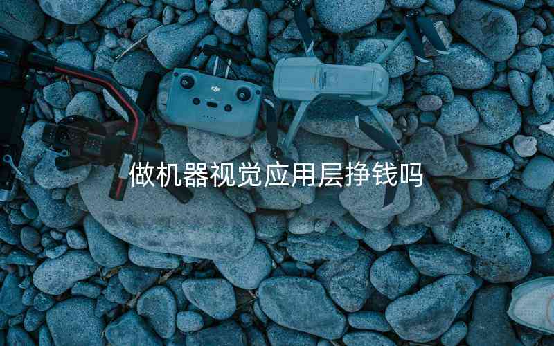 做機器視覺應用層掙錢嗎 做機器視覺應用層掙錢嗎