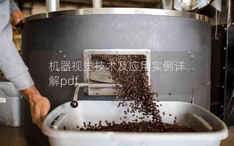 機器視覺技術(shù)及應(yīng)用實例詳解pdf 機器視覺技術(shù)及應(yīng)用實例詳解pdf