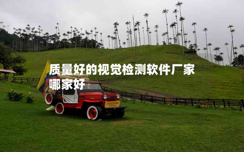 質量好的視覺檢測軟件廠家哪家好 質量好的視覺檢測軟件廠家哪家好