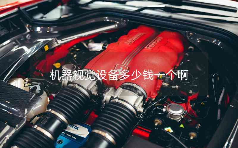 機(jī)器視覺設(shè)備多少錢一個(gè)啊 機(jī)器視覺設(shè)備多少錢一個(gè)啊