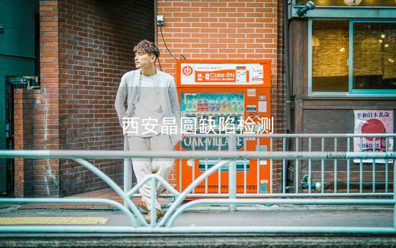 西安晶圓缺陷檢測 西安晶圓缺陷檢測