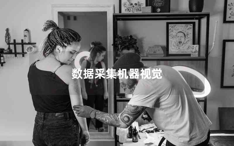 數(shù)據(jù)采集機(jī)器視覺 數(shù)據(jù)采集機(jī)器視覺