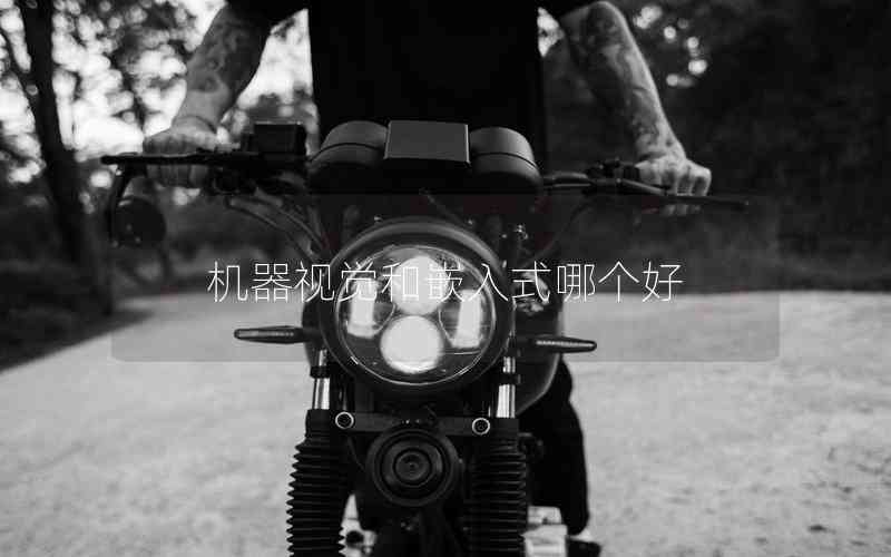 機(jī)器視覺和嵌入式哪個好 機(jī)器視覺和嵌入式哪個好