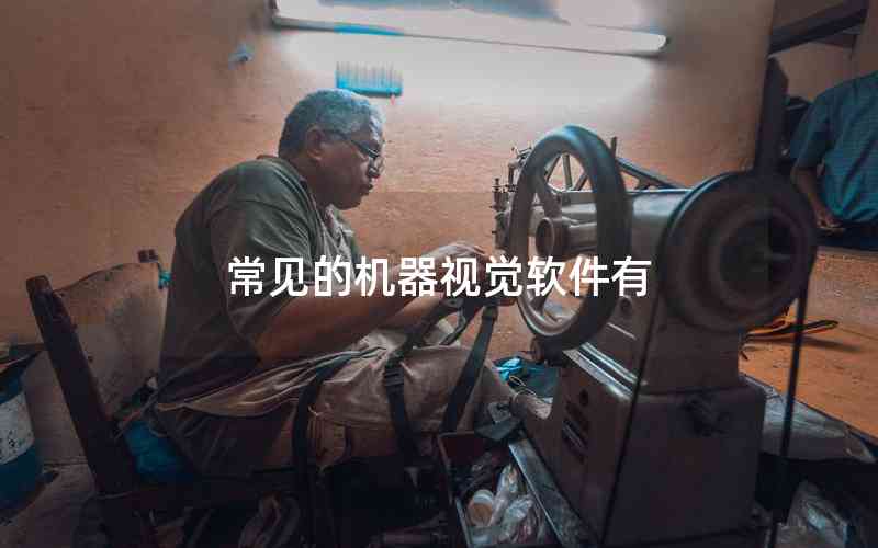 常見的機器視覺軟件有 常見的機器視覺軟件有