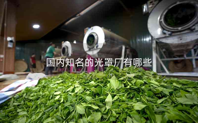 國內知名的光罩廠有哪些 國內知名的光罩廠有哪些