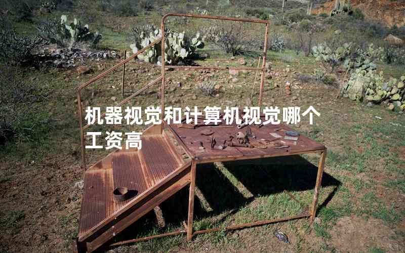 機器視覺和計算機視覺哪個工資高 機器視覺和計算機視覺哪個工資高