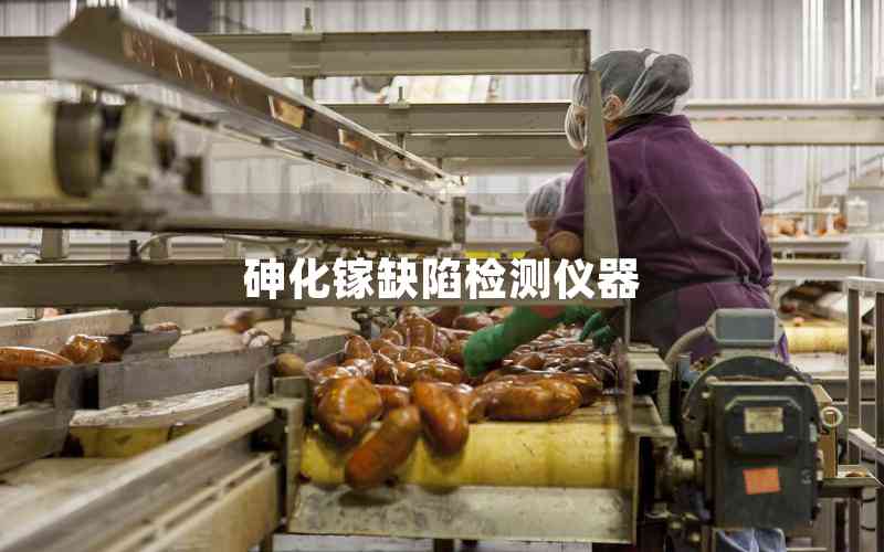 砷化鎵缺陷檢測儀器 砷化鎵缺陷檢測儀器