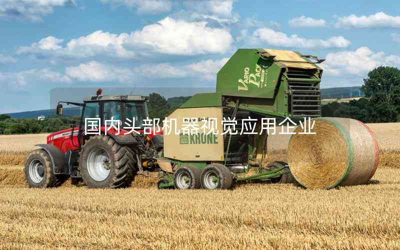 國內(nèi)頭部機(jī)器視覺應(yīng)用企業(yè) 國內(nèi)頭部機(jī)器視覺應(yīng)用企業(yè)