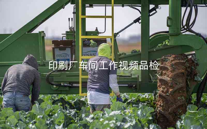 印刷廠車間工作視頻品檢 印刷廠車間工作視頻品檢