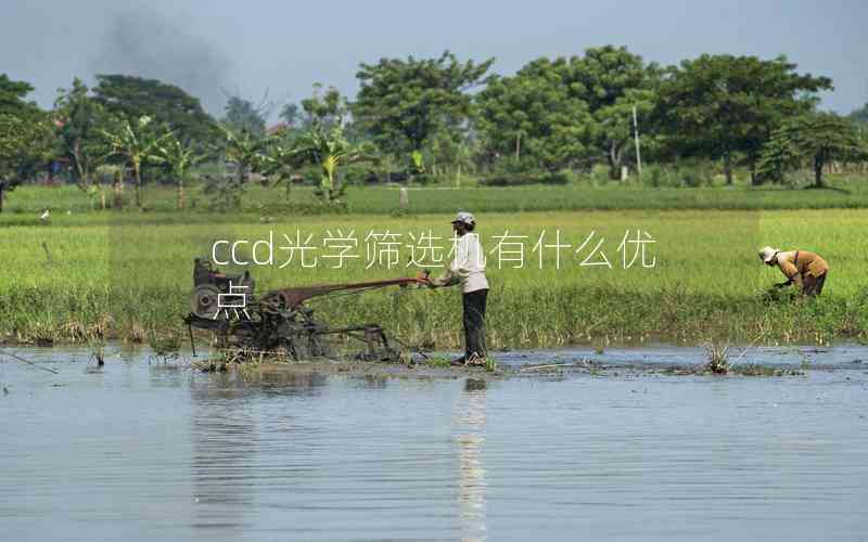 ccd光學(xué)篩選機(jī)有什么優(yōu)點(diǎn) ccd光學(xué)篩選機(jī)有什么優(yōu)點(diǎn)