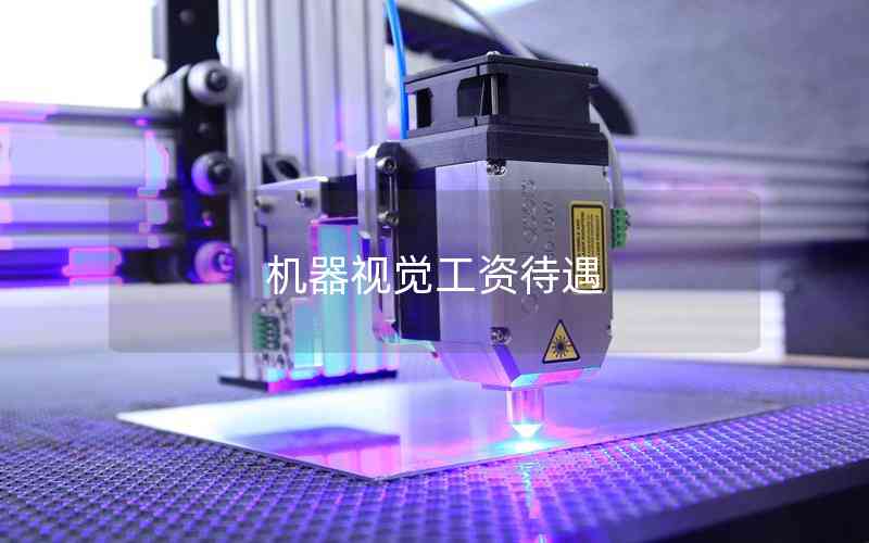 機(jī)器視覺工資待遇 機(jī)器視覺工資待遇