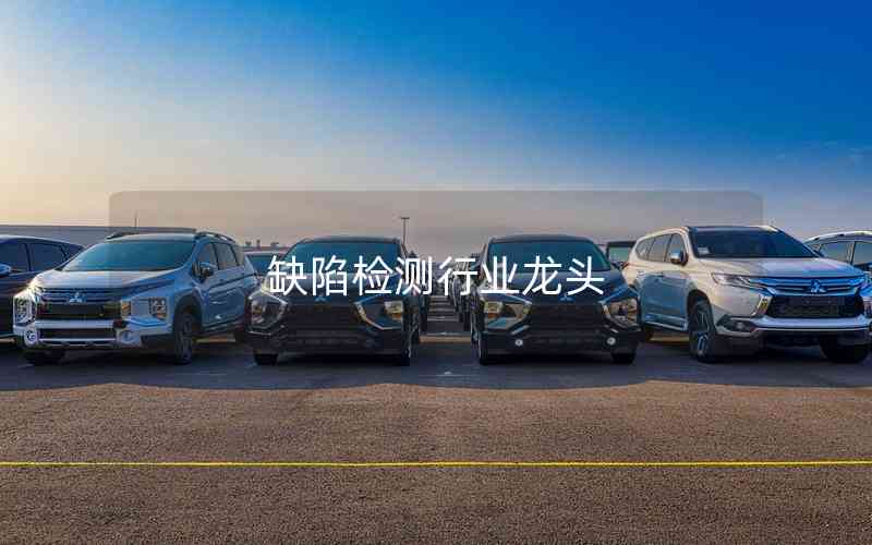 缺陷檢測(cè)行業(yè)龍頭 缺陷檢測(cè)行業(yè)龍頭
