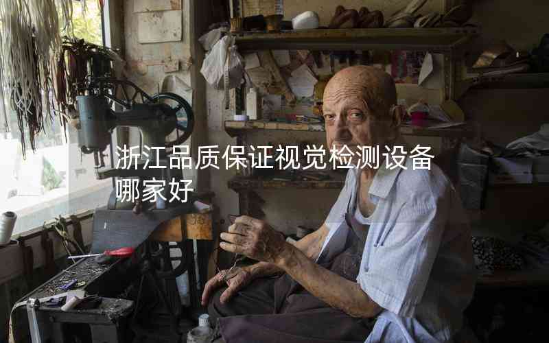 浙江品質(zhì)保證視覺檢測設(shè)備哪家好 浙江品質(zhì)保證視覺檢測設(shè)備哪家好