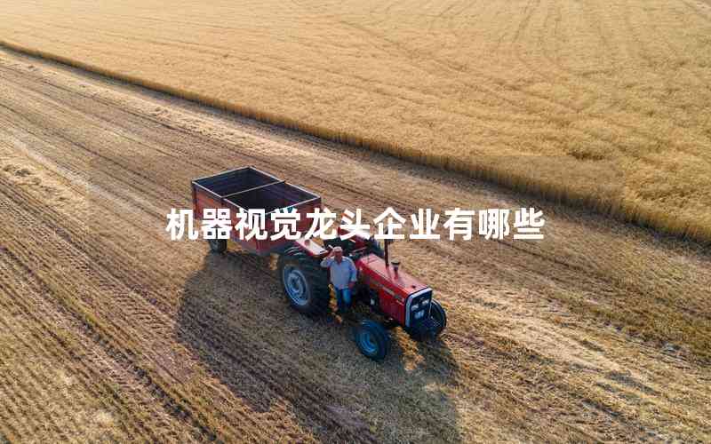 機(jī)器視覺龍頭企業(yè)有哪些 機(jī)器視覺龍頭企業(yè)有哪些