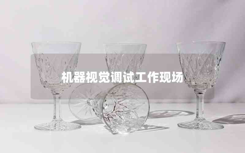 機器視覺調(diào)試工作現(xiàn)場 機器視覺調(diào)試工作現(xiàn)場
