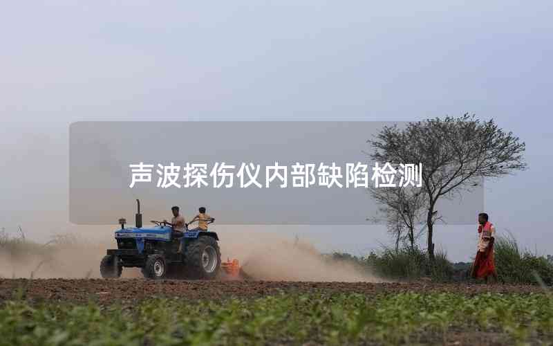 聲波探傷儀內(nèi)部缺陷檢測 聲波探傷儀內(nèi)部缺陷檢測