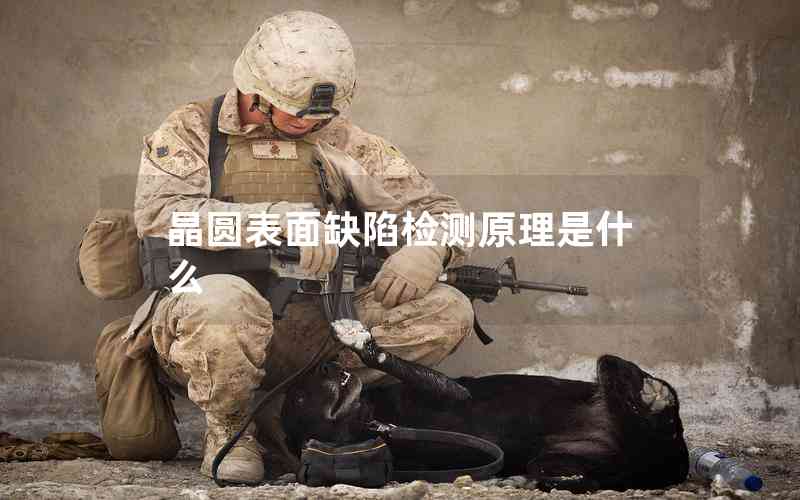 晶圓表面缺陷檢測(cè)原理是什么 晶圓表面缺陷檢測(cè)原理是什么