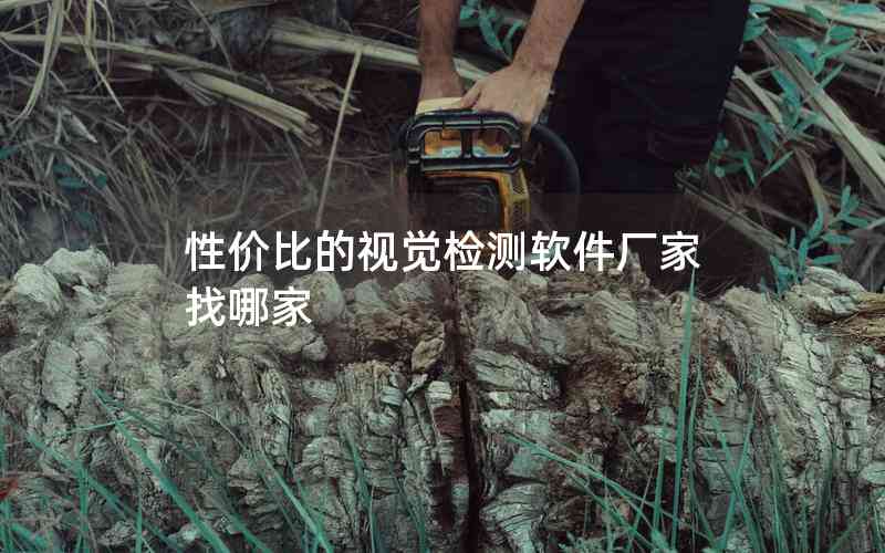 性價(jià)比的視覺(jué)檢測(cè)軟件廠家找哪家 性價(jià)比的視覺(jué)檢測(cè)軟件廠家找哪家