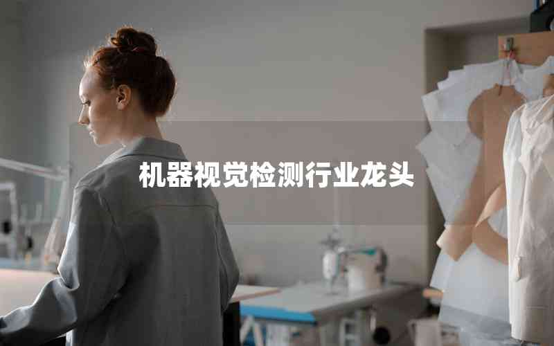 機(jī)器視覺檢測行業(yè)龍頭 機(jī)器視覺檢測行業(yè)龍頭