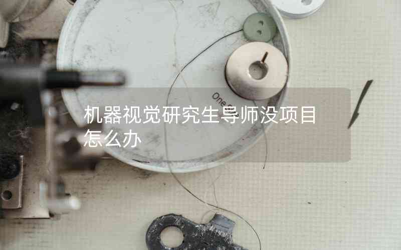機(jī)器視覺研究生導(dǎo)師沒項目怎么辦 機(jī)器視覺研究生導(dǎo)師沒項目怎么辦