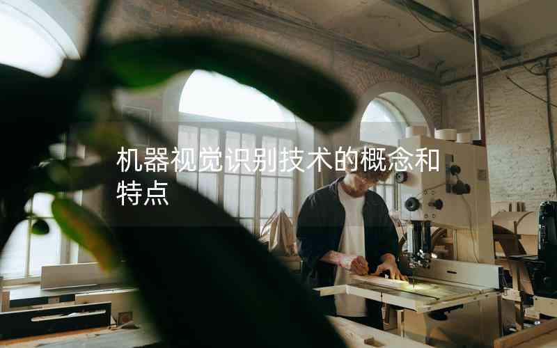 機(jī)器視覺識(shí)別技術(shù)的概念和特點(diǎn) 機(jī)器視覺識(shí)別技術(shù)的概念和特點(diǎn)