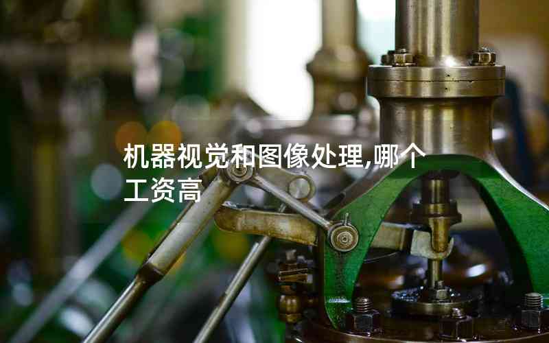 機(jī)器視覺(jué)和圖像處理,哪個(gè)工資高 機(jī)器視覺(jué)和圖像處理,哪個(gè)工資高