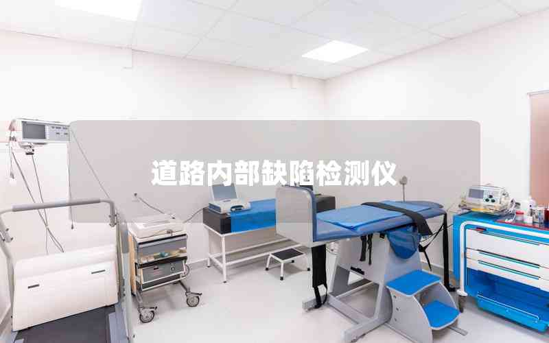 道路內(nèi)部缺陷檢測儀 道路內(nèi)部缺陷檢測儀