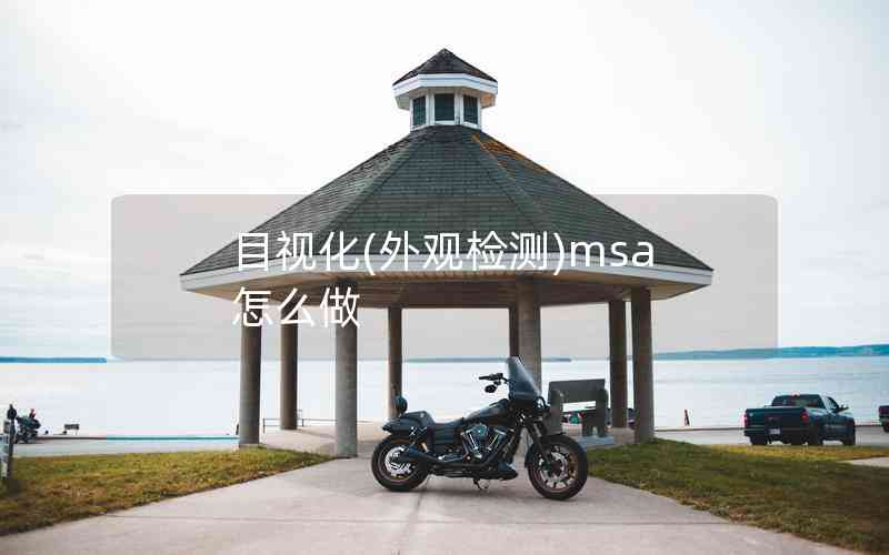 目視化(外觀檢測(cè))msa怎么做 目視化(外觀檢測(cè))msa怎么做