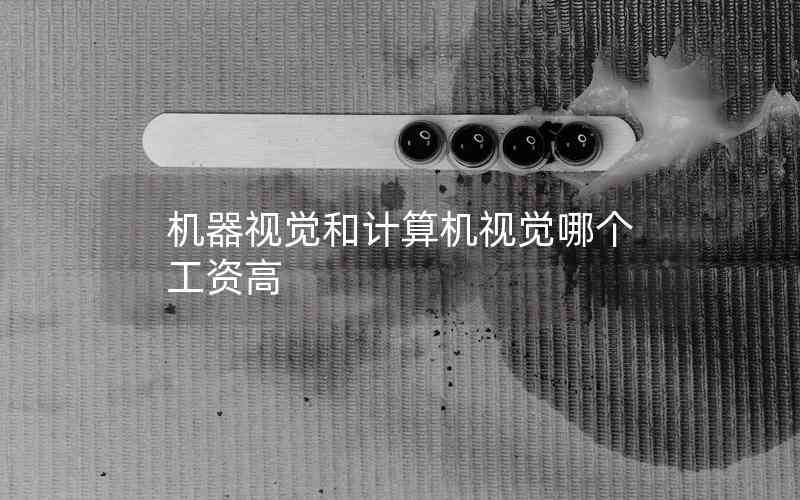 機(jī)器視覺和計(jì)算機(jī)視覺哪個(gè)工資高 機(jī)器視覺和計(jì)算機(jī)視覺哪個(gè)工資高