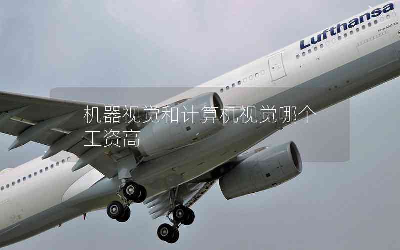 機器視覺和計算機視覺哪個工資高 機器視覺和計算機視覺哪個工資高