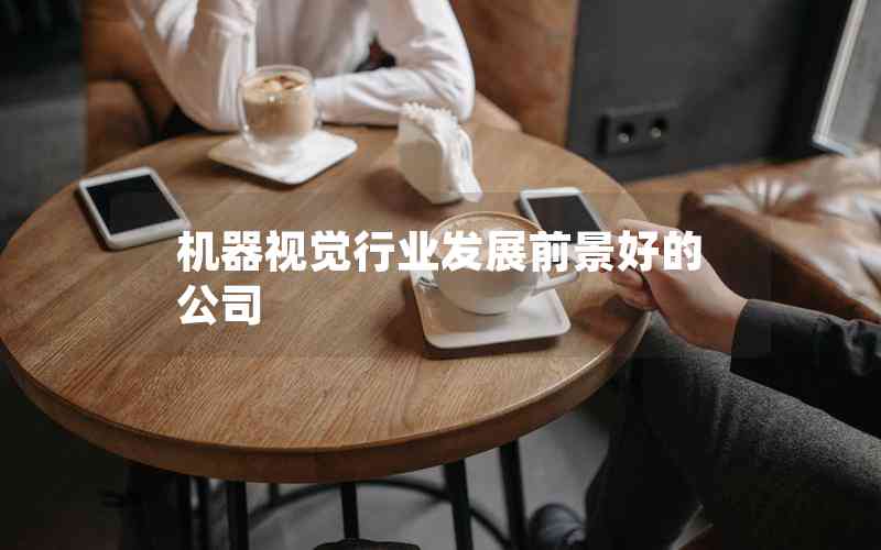機(jī)器視覺(jué)行業(yè)發(fā)展前景好的公司 機(jī)器視覺(jué)行業(yè)發(fā)展前景好的公司