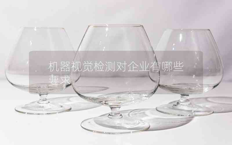 機(jī)器視覺(jué)檢測(cè)對(duì)企業(yè)有哪些要求 機(jī)器視覺(jué)檢測(cè)對(duì)企業(yè)有哪些要求