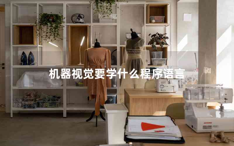 機(jī)器視覺要學(xué)什么程序語言 機(jī)器視覺要學(xué)什么程序語言