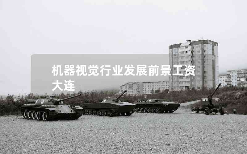 機器視覺行業(yè)發(fā)展前景工資大連 機器視覺行業(yè)發(fā)展前景工資大連