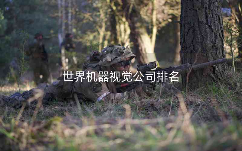 世界機器視覺公司排名 世界機器視覺公司排名