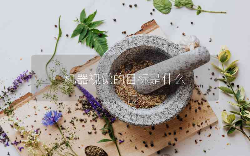 機器視覺的目標是什么 機器視覺的目標是什么