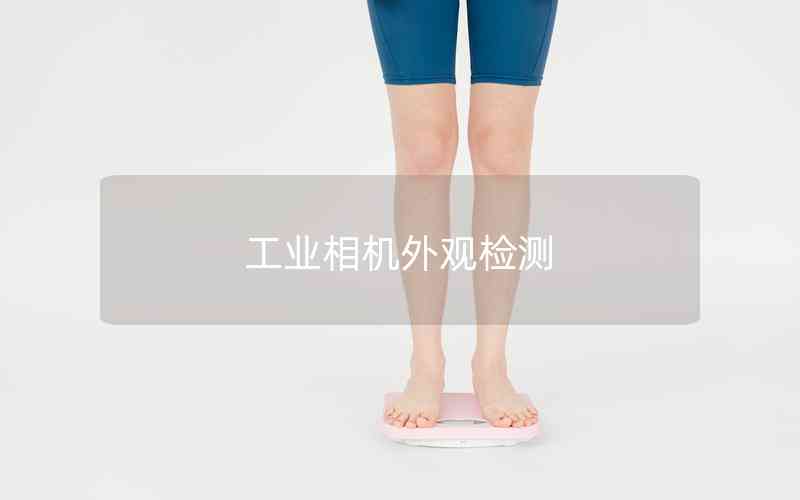 工業(yè)相機(jī)外觀檢測 工業(yè)相機(jī)外觀檢測